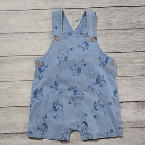 Charming Light Blue Kids Overalls with Bluey